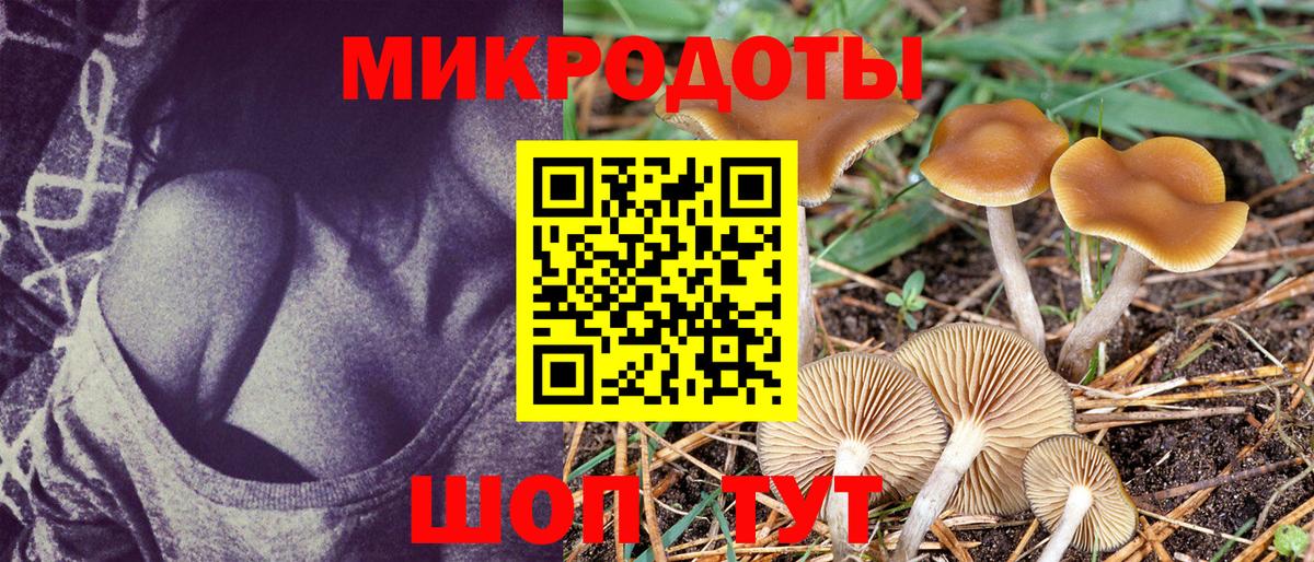 Галлюциногенные грибы прущие грибы  Вход с VPN  Псилоцибиновые грибы ЛСД  Люберцы 